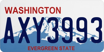 WA license plate AXY3993