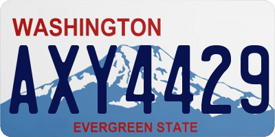 WA license plate AXY4429