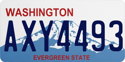 WA license plate AXY4493