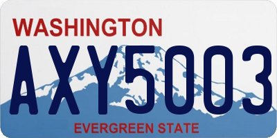WA license plate AXY5003