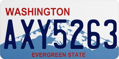 WA license plate AXY5263