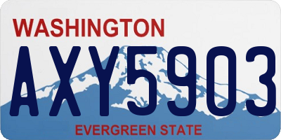 WA license plate AXY5903