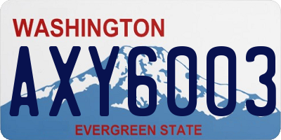 WA license plate AXY6003