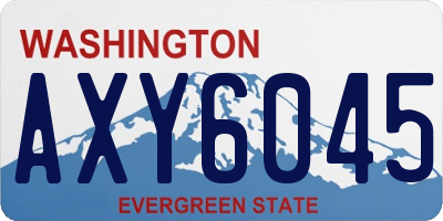 WA license plate AXY6045