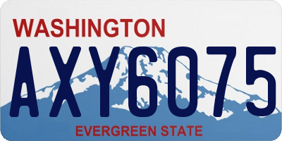 WA license plate AXY6075