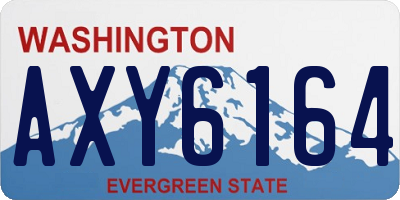 WA license plate AXY6164