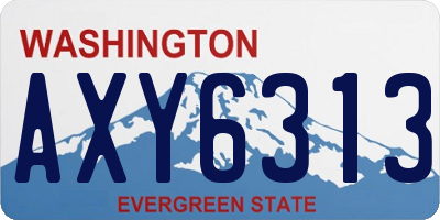 WA license plate AXY6313
