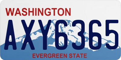 WA license plate AXY6365
