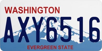 WA license plate AXY6516