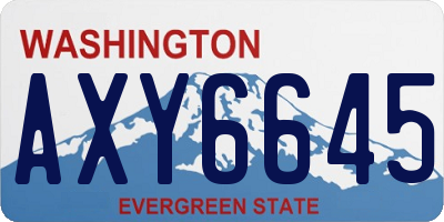 WA license plate AXY6645