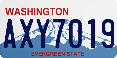 WA license plate AXY7019