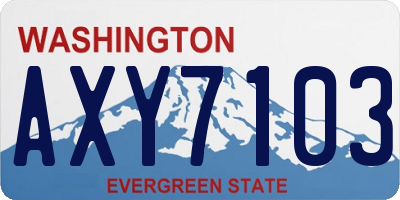 WA license plate AXY7103