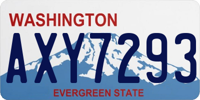 WA license plate AXY7293