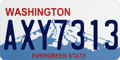 WA license plate AXY7313