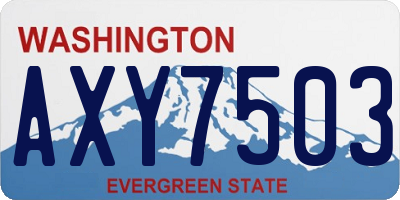 WA license plate AXY7503