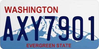 WA license plate AXY7901