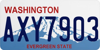 WA license plate AXY7903