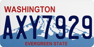 WA license plate AXY7929