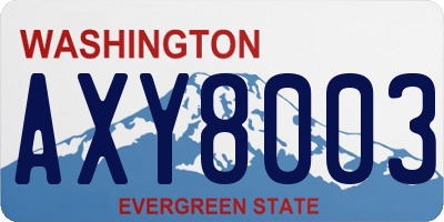 WA license plate AXY8003