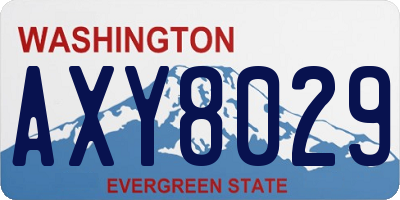 WA license plate AXY8029