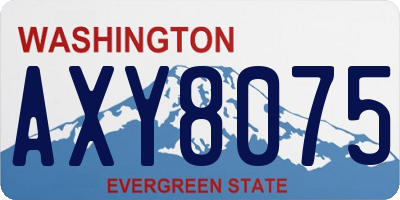 WA license plate AXY8075