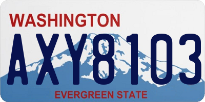 WA license plate AXY8103