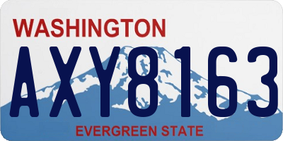 WA license plate AXY8163