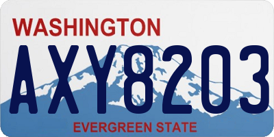 WA license plate AXY8203