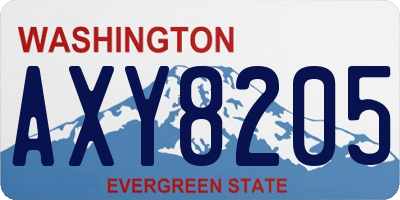 WA license plate AXY8205