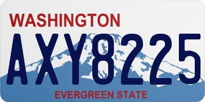 WA license plate AXY8225