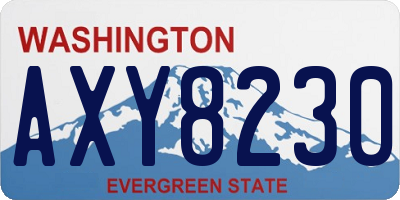 WA license plate AXY8230
