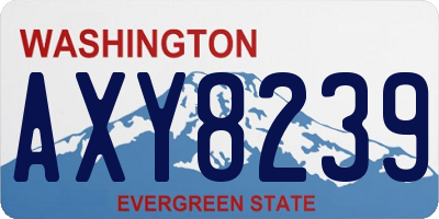 WA license plate AXY8239