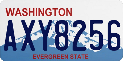 WA license plate AXY8256