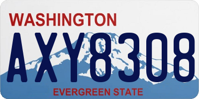 WA license plate AXY8308