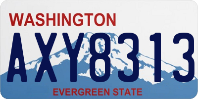 WA license plate AXY8313