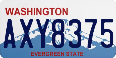 WA license plate AXY8375