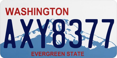 WA license plate AXY8377