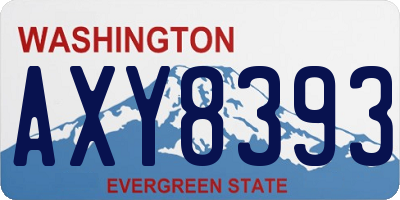 WA license plate AXY8393