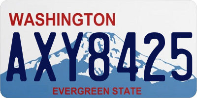 WA license plate AXY8425