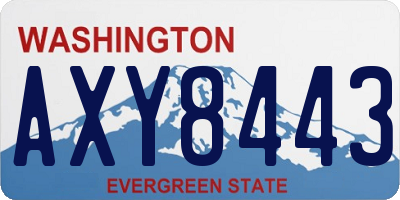 WA license plate AXY8443