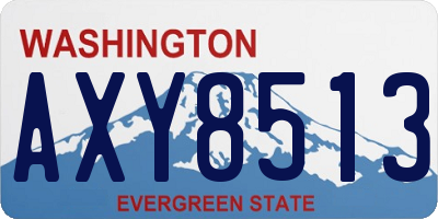 WA license plate AXY8513