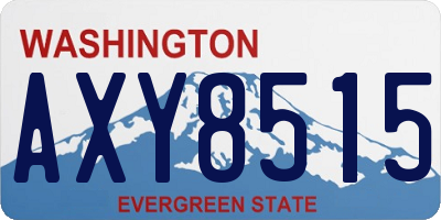 WA license plate AXY8515