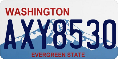 WA license plate AXY8530