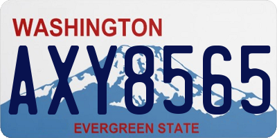 WA license plate AXY8565