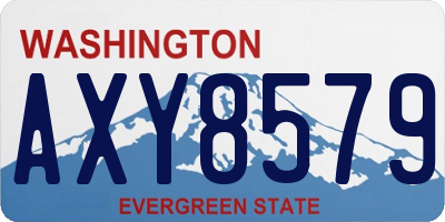 WA license plate AXY8579