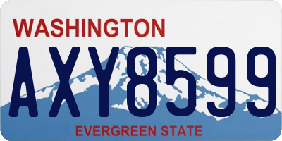 WA license plate AXY8599