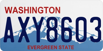 WA license plate AXY8603