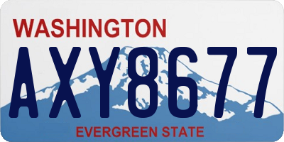 WA license plate AXY8677