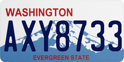 WA license plate AXY8733