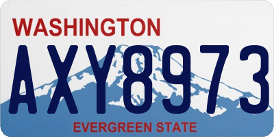 WA license plate AXY8973